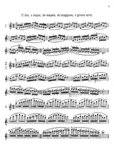 Carl Flesch Scale System for Violin [product type] Luscombe Music - Luscombe Music 