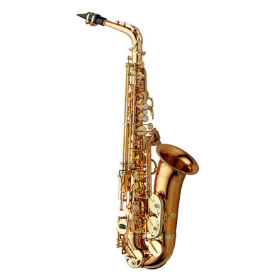 Yanagisawa AW02 Bronze Professional Alto Saxophone [product type] Luscombe Music - Luscombe Music 